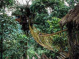 Green Magic Treehouses: India