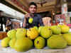 Mangoes turn juicier! Price of premium Alphonso variety almost halves