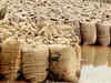 India exports wheat worth Rs 2,590 crores
