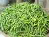 Saudi red flag on Indian green chilli unlikely to hurt red chilli shipments