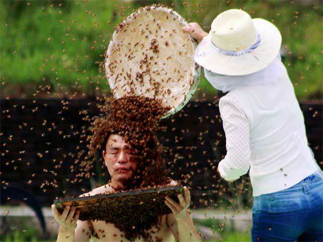 Beekeeper covered by a swarm of bees