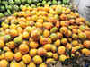 Mango exports to US likely to rise by 42% this year