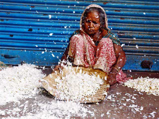 Labourer removes skin of garlic at wholesale market