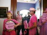 Code Pink protest govt bailout, Washington