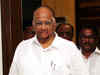 After Mayawati, Sharad Pawar blames Congress for NCP’s dismal performance