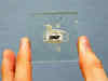 Christie’s to sell microchip—prototype used in nobel prize-winning invention