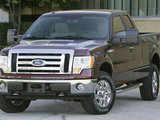 2009 F150 pickup truck