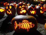 Pumpkin Festival in Maine