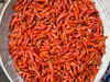 Chilli futures up by 0.31 per cent on rising demand