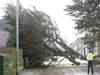 Seven killed in storm in Jharkhand, trees, electricity poles uprooted