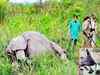 BJP will take measures to protect rhinos in Kaziranga: Minister