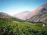 Grand Central: Valle Central, Chile