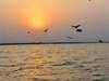Water supply in Ganga, Brahmaputra will increase: Research