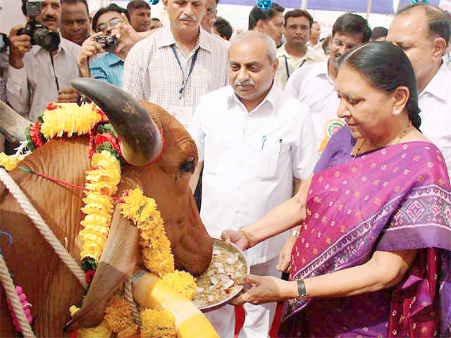 Gujarat Chief Minister Anandiben Patel