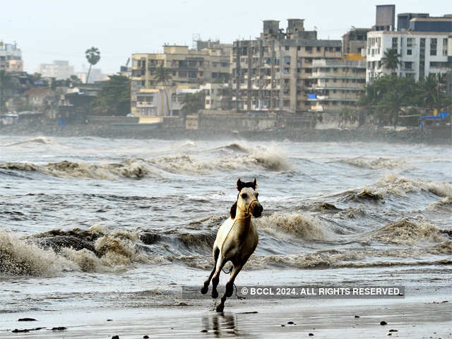 Monsoons likely to reach Mumbai in three days