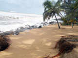 Karnataka: Measures to be taken to control sea erosion