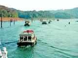 Pilgrim crush endangers Periyar reserve