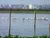 Delhi Development Authority takes up PPP mode for revival of water bodies in the city