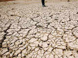 The government has to prepare for drought now