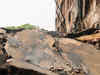 Building collapse: NDMC orders inquiry