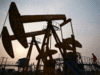 Gulf countries' large dependence on oil & gas a credit risk: S&P