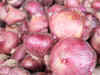 Onion prices remain high at Rs 18.50/kg at Lasalgaon