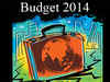 Big economy reforms expected from Arun Jaitley's first Union Budget