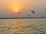 River Ganga to be developed as major tourist destination and navigation corridor