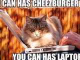 'I can has Cheezburger?: A LOLcat Colleckshun'