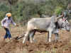 Budget 2014: FM proposes separate infrastructure for agriculture consumers for 24x7 power supply