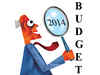 Budget 2014 first step towards India's economic revival: USIBC