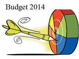 Budget 2014: Twist to 15 terms FM Arun Jaitley used