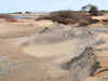 High Court seeks report on alleged sand dunes destruction in Adani SEZ