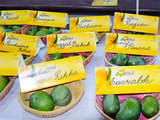 Mango festival starts in Delhi; 500 varieties on display