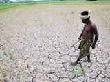 163 large and medium irrigation projects delayed: Centre