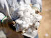India produced 39 million bales of cotton in 2013-14