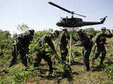 Police officers uproot coca shrubs