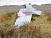 MH17 crash: Ukraine accuses rebels of removing bodies from crash site