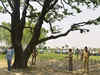 Badaun rape case: CBI to seek DNA test of victims' clothes