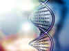 Less than 10% of human DNA is functional: Study
