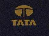 Tata Chemicals plans to raise Rs 1,000 cr via debentures