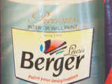 Berger Paints to commission two plants by September