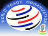 India hopes to convince WTO by September on food security issue