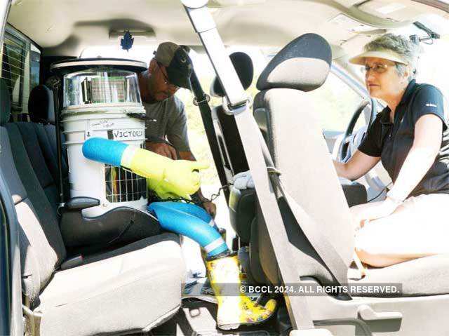 Challenges in the making of hitchBOT
