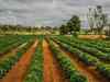Technology for producing hybrid seeds vital: FAO-UN