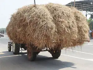 Hatsun Agro To Strengthen Operations In Andhra Pradesh And Cattle