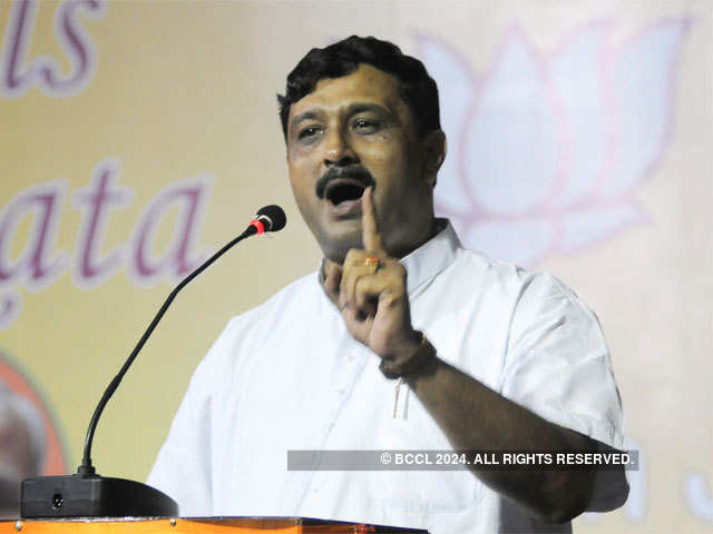 Rahul Sinha gives his speech at a function