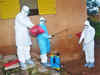 Ebola outbreak: Pun exporters avoid visits to West African nations