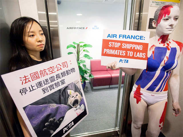 PETA protests transporation of live primates in Hong Kong