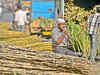 Uttar Pradesh offers sugar producers Rs 6 rebate on each quintal of cane purchased